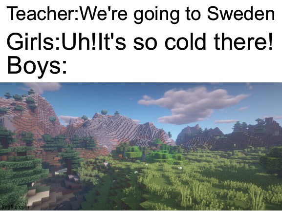 Who would be crazy enough to refuse to go to Sweden? | Teacher:We're going to Sweden; Girls:Uh!It's so cold there! Boys: | image tagged in blank white template,minecraft,sweden,memes,girls,boys | made w/ Imgflip meme maker