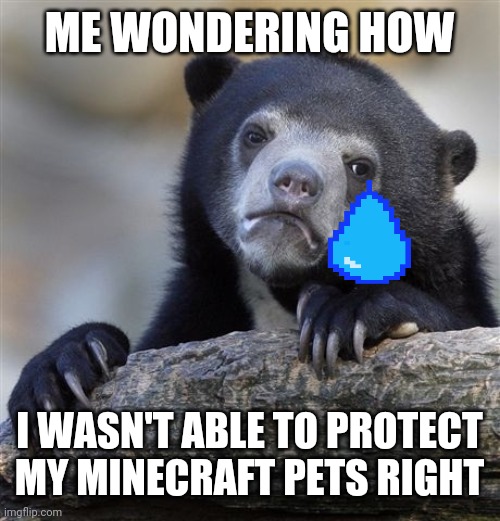 WHY GOD WHY | ME WONDERING HOW; I WASN'T ABLE TO PROTECT MY MINECRAFT PETS RIGHT | image tagged in memes,confession bear | made w/ Imgflip meme maker