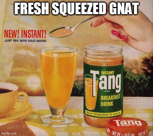 As Good ASAN Instant Drink Can Be | FRESH SQUEEZED GNAT | image tagged in nasa,tang,astronauts,breakfast,donald duck orange juice,backwards | made w/ Imgflip meme maker