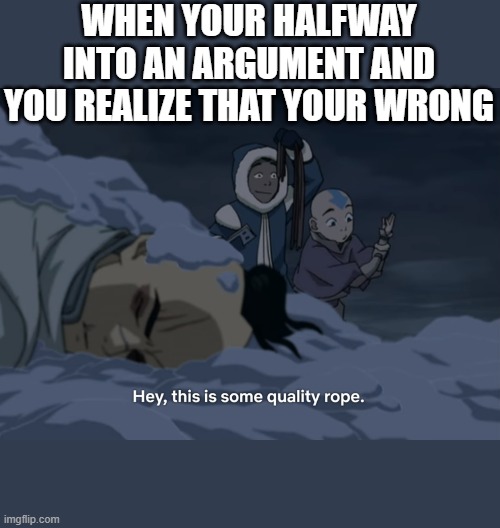This is some quality rope | WHEN YOUR HALFWAY INTO AN ARGUMENT AND YOU REALIZE THAT YOUR WRONG | image tagged in this is some quality rope | made w/ Imgflip meme maker