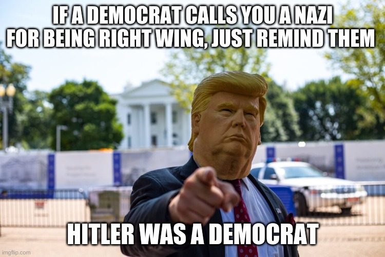 just got some random image for this point | IF A DEMOCRAT CALLS YOU A NAZI FOR BEING RIGHT WING, JUST REMIND THEM; HITLER WAS A DEMOCRAT | image tagged in democrats,republicans | made w/ Imgflip meme maker