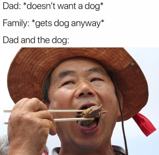 image tagged in dog | made w/ Imgflip meme maker