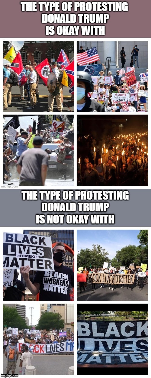 Different protesters, different response! | image tagged in donald trump,nevertrump,notmypresident,blm | made w/ Imgflip meme maker