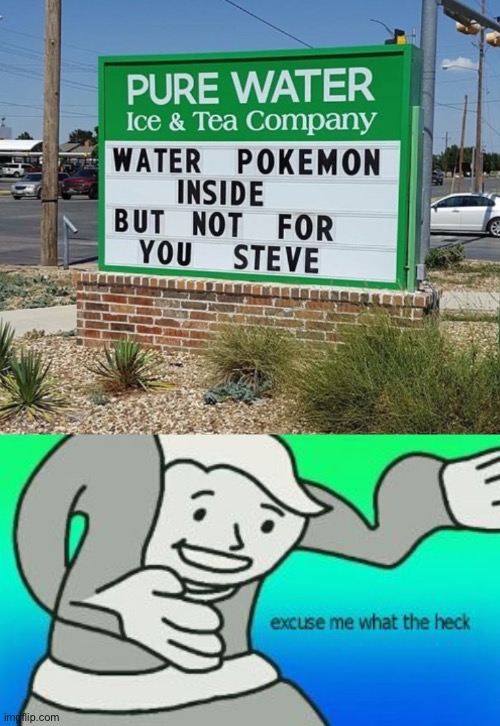 Steve’s pretty mad now. | image tagged in excuse me what the heck | made w/ Imgflip meme maker