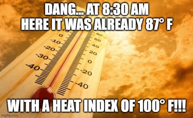 true XD |  DANG... AT 8:30 AM HERE IT WAS ALREADY 87° F; WITH A HEAT INDEX OF 100° F!!! | image tagged in summer heat,memes,true,weather,hot | made w/ Imgflip meme maker