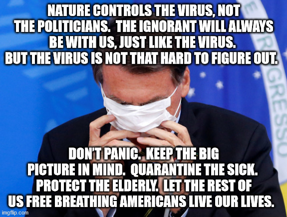 Take precautions and don't panic about the coronavirus. | NATURE CONTROLS THE VIRUS, NOT THE POLITICIANS.  THE IGNORANT WILL ALWAYS BE WITH US, JUST LIKE THE VIRUS.  BUT THE VIRUS IS NOT THAT HARD TO FIGURE OUT. DON’T PANIC.  KEEP THE BIG PICTURE IN MIND.  QUARANTINE THE SICK.  PROTECT THE ELDERLY.  LET THE REST OF US FREE BREATHING AMERICANS LIVE OUR LIVES. | image tagged in bolsonaro,coronavirus,precaution,politicians,virus | made w/ Imgflip meme maker