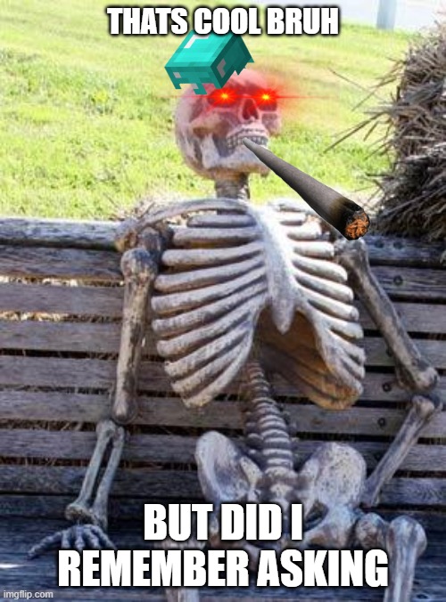 when someone that you met once starts telling you a story | THATS COOL BRUH; BUT DID I REMEMBER ASKING | image tagged in memes,waiting skeleton | made w/ Imgflip meme maker
