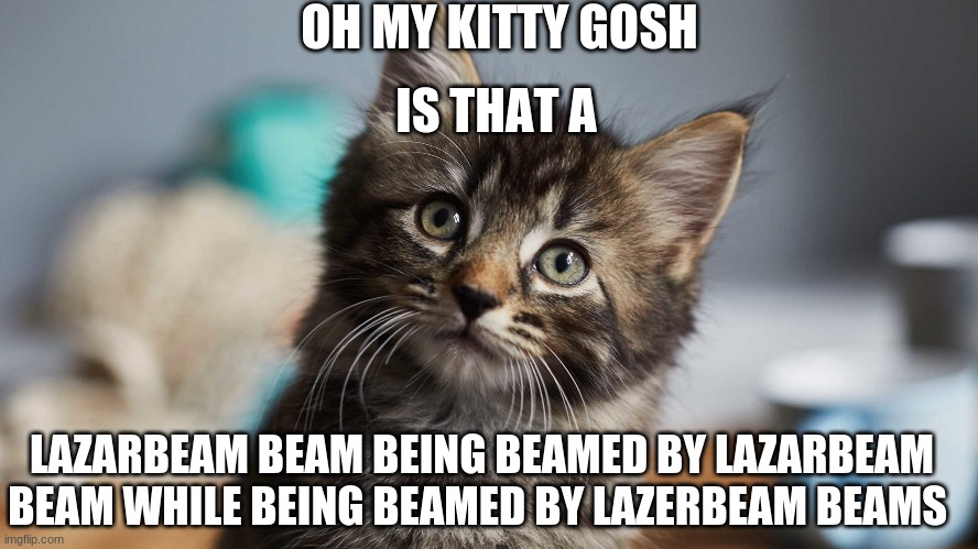 Lazar Lazar Cat Cat | OH MY KITTY GOSH; IS THAT A; LAZARBEAM BEAM BEING BEAMED BY LAZARBEAM BEAM WHILE BEING BEAMED BY LAZERBEAM BEAMS | image tagged in funny cat | made w/ Imgflip meme maker