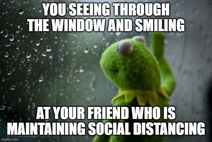 kermit window | YOU SEEING THROUGH THE WINDOW AND SMILING; AT YOUR FRIEND WHO IS MAINTAINING SOCIAL DISTANCING | image tagged in kermit window | made w/ Imgflip meme maker