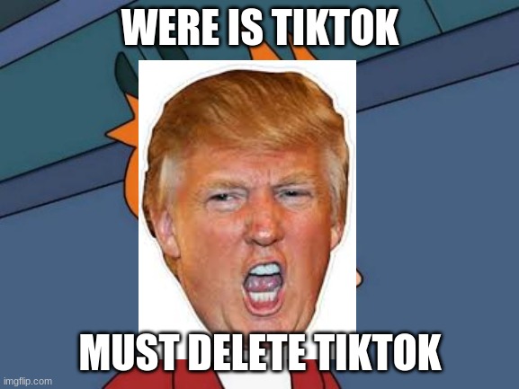 Yes sir | WERE IS TIKTOK; MUST DELETE TIKTOK | image tagged in memes,futurama fry | made w/ Imgflip meme maker