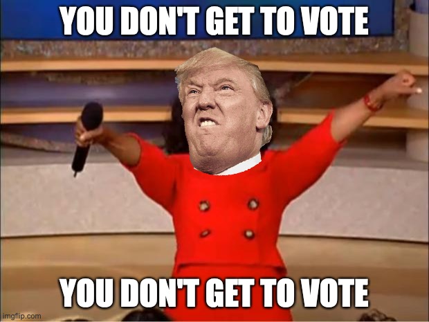 Oprah You Get A | YOU DON'T GET TO VOTE; YOU DON'T GET TO VOTE | image tagged in memes,oprah you get a | made w/ Imgflip meme maker