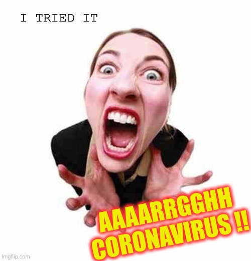Woman screaming  | I TRIED IT AAAARRGGHH CORONAVIRUS !! | image tagged in woman screaming | made w/ Imgflip meme maker