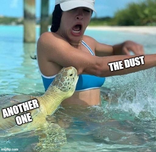 Hey I'm gonna get you too | THE DUST; ANOTHER ONE | image tagged in turtle,another one,dust | made w/ Imgflip meme maker