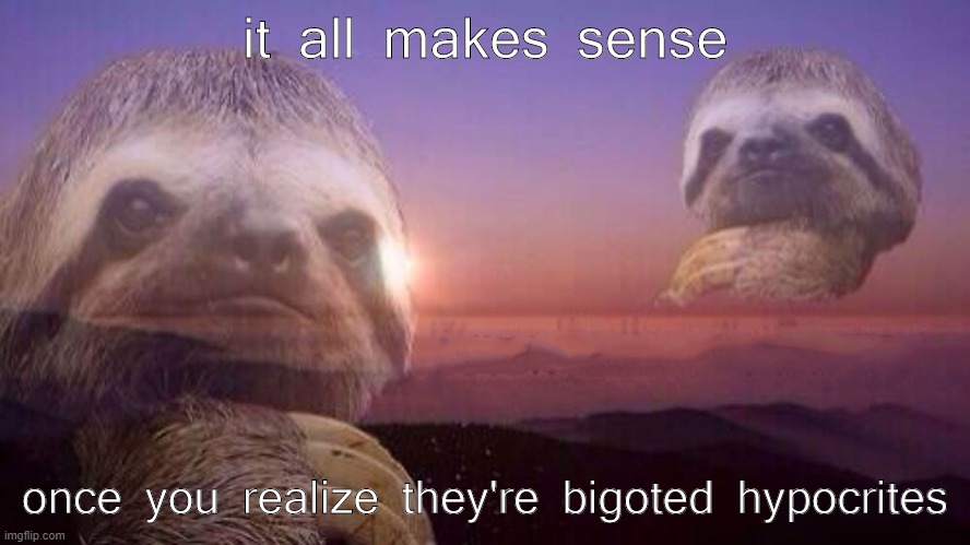 High Quality Sloth it all makes sense once you realize they're bigots Blank Meme Template
