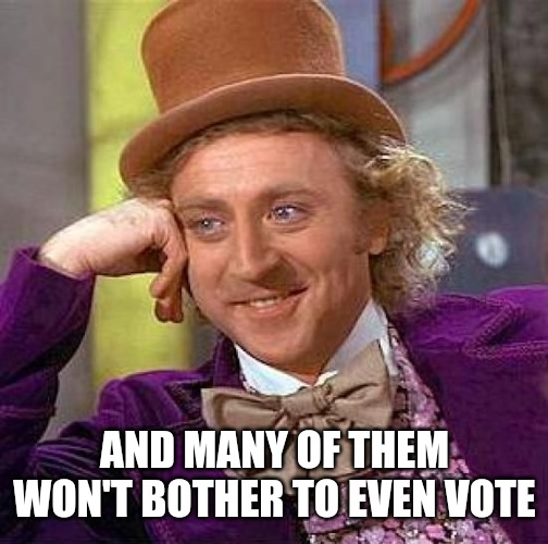Creepy Condescending Wonka Meme | AND MANY OF THEM WON'T BOTHER TO EVEN VOTE | image tagged in memes,creepy condescending wonka | made w/ Imgflip meme maker