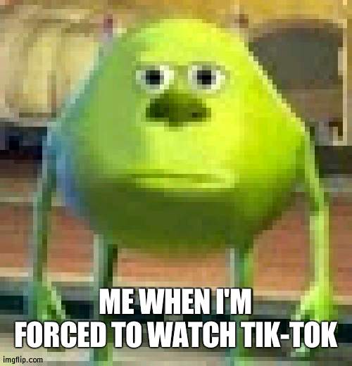 Why...... | ME WHEN I'M FORCED TO WATCH TIK-TOK | image tagged in sully wazowski | made w/ Imgflip meme maker