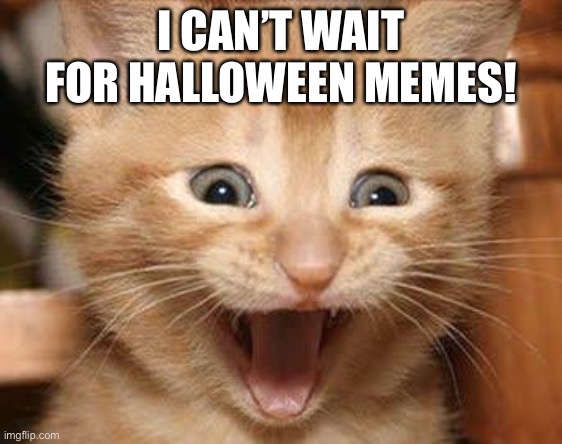 I can’t wait! This is why I love holidays on imgflip! | I CAN’T WAIT FOR HALLOWEEN MEMES! | image tagged in memes,excited cat,halloween is coming | made w/ Imgflip meme maker