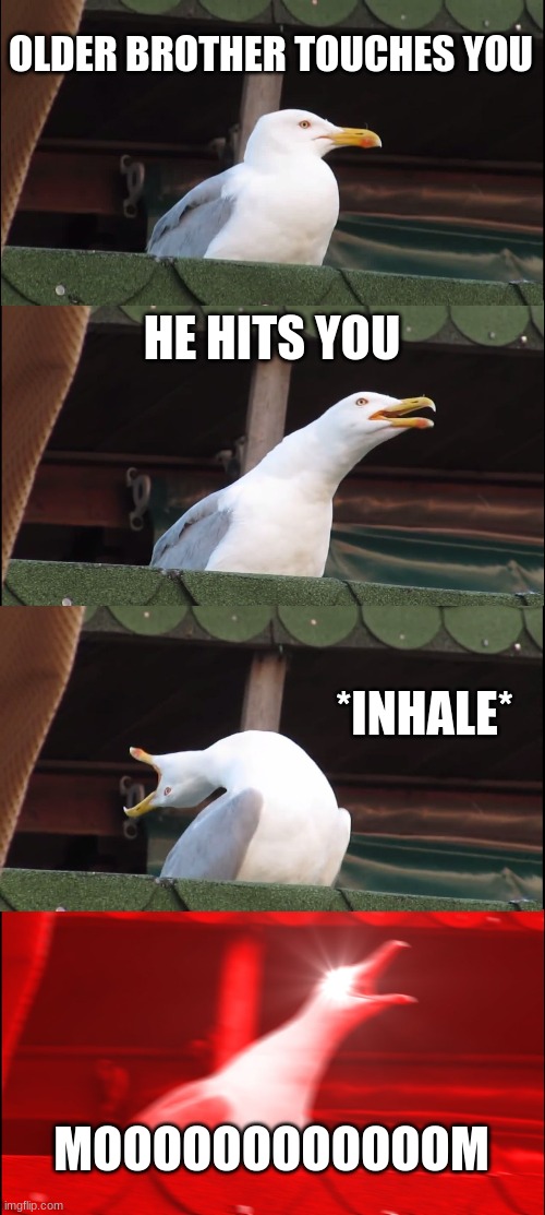 Inhaling Seagull Meme | OLDER BROTHER TOUCHES YOU; HE HITS YOU; *INHALE*; MOOOOOOOOOOOOM | image tagged in memes,inhaling seagull | made w/ Imgflip meme maker