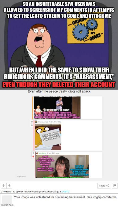 SO AN INSUFFERABLE SJW USER WAS ALLOWED TO SCREENSHOT MY COMMENTS IN ATTEMPTS TO GET THE LGBTQ STREAM TO COME AND ATTACK ME; BUT WHEN I DID THE SAME TO SHOW THEIR RIDICULOUS COMMENTS, IT'S "HARRASSMENT,"; EVEN THOUGH THEY DELETED THEIR ACCOUNT | image tagged in memes,imgflip,imgflip mods,lgbtq,hypocrisy,comments | made w/ Imgflip meme maker