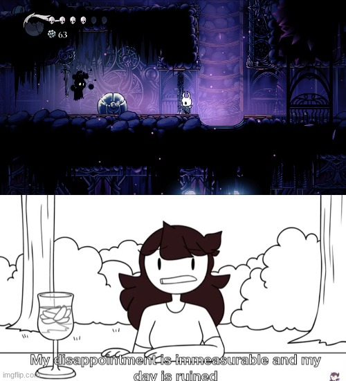 image tagged in jaiden animations disappointment,hollow knight | made w/ Imgflip meme maker