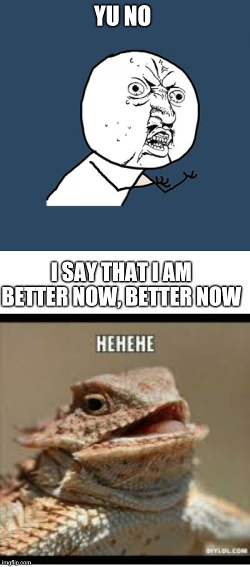 hahahahahahaha!! | YU NO; I SAY THAT I AM BETTER NOW, BETTER NOW | image tagged in memes,y u no | made w/ Imgflip meme maker