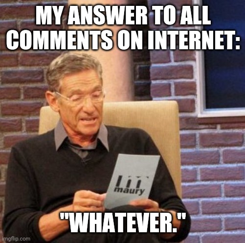 Internet comments | MY ANSWER TO ALL COMMENTS ON INTERNET:; "WHATEVER." | image tagged in memes,maury lie detector | made w/ Imgflip meme maker