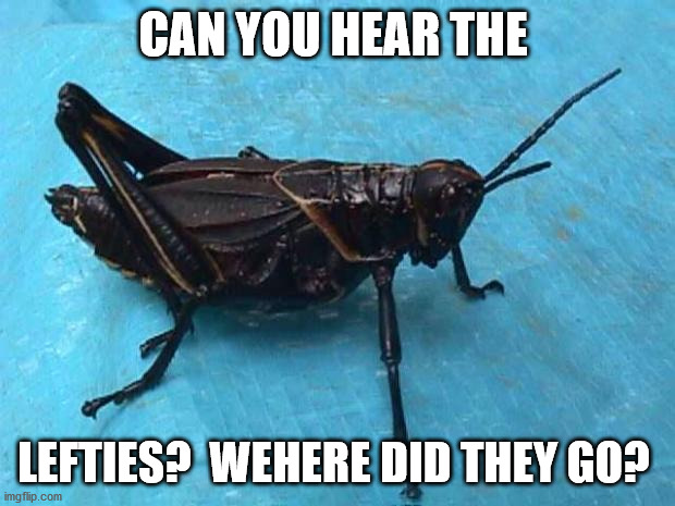 Cricket  | CAN YOU HEAR THE LEFTIES?  WEHERE DID THEY GO? | image tagged in cricket | made w/ Imgflip meme maker