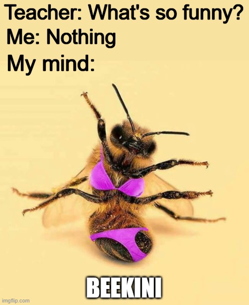 Teacher: What's so funny? Me: Nothing; My mind:; BEEKINI | image tagged in lol so funny,meme | made w/ Imgflip meme maker