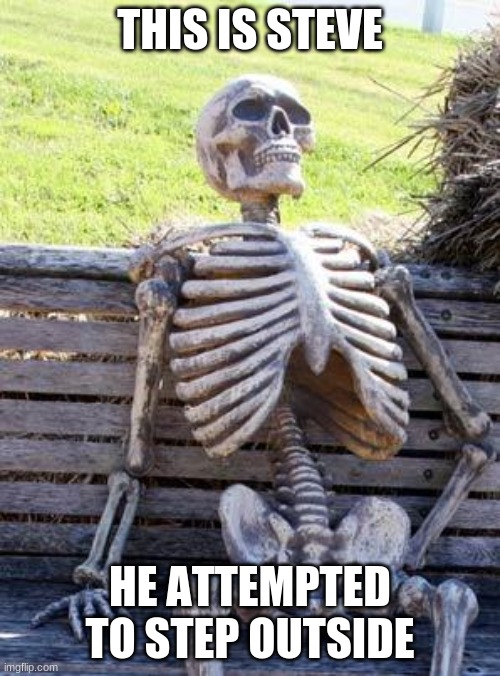 Waiting Skeleton | THIS IS STEVE; HE ATTEMPTED TO STEP OUTSIDE | image tagged in memes,waiting skeleton | made w/ Imgflip meme maker