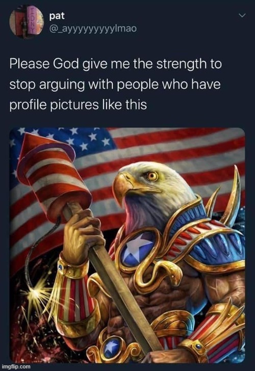 I have previously thought ImgFlip profile pictures would be a cool idea but this now has me thinking differently (repost) | image tagged in repost,patriotic eagle,patriots,maga,lol,profile picture | made w/ Imgflip meme maker