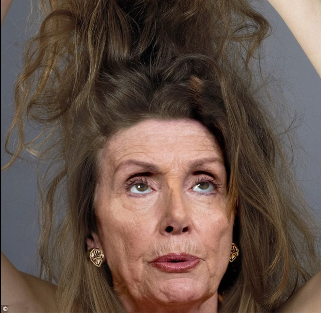 High Quality Pelosi hair Blank Meme Template