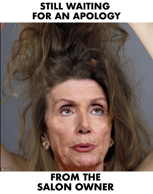 Rules are made for thee, but not for me | STILL WAITING 

FOR AN APOLOGY; FROM THE 
SALON OWNER | image tagged in pelosi hair | made w/ Imgflip meme maker