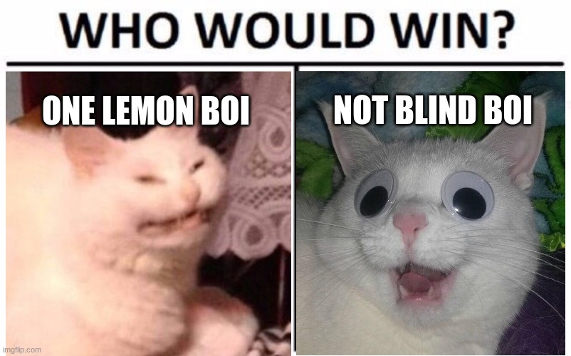 how would win | NOT BLIND BOI; ONE LEMON BOI | image tagged in memes,who would win | made w/ Imgflip meme maker