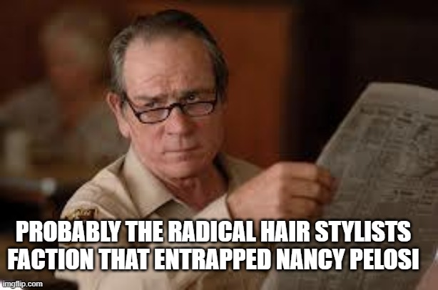 no country for old men tommy lee jones | PROBABLY THE RADICAL HAIR STYLISTS FACTION THAT ENTRAPPED NANCY PELOSI | image tagged in no country for old men tommy lee jones | made w/ Imgflip meme maker