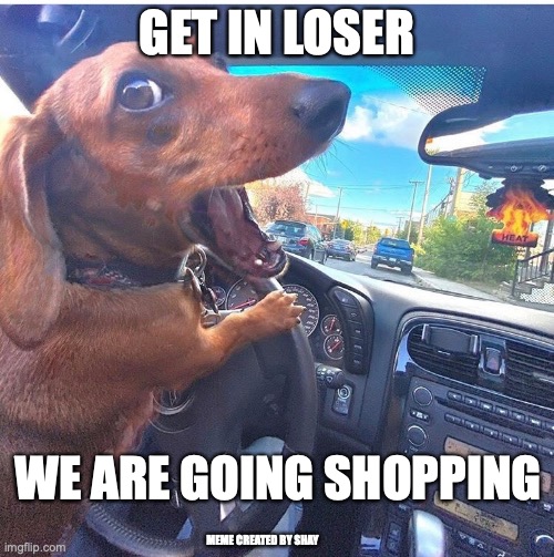 Get in Loser We Are Going Shopping Imgflip