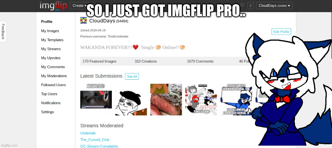Was it really worth the 9 bucks? | SO I JUST GOT IMGFLIP PRO.. | made w/ Imgflip meme maker