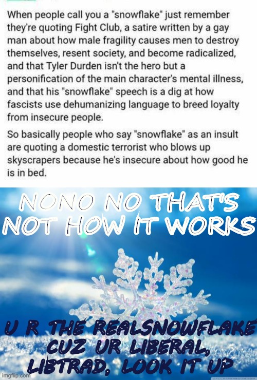The term "Snowflake" explained and then carefully rebutted by a snowflake. | NONO NO THAT'S NOT HOW IT WORKS; U R THE REALSNOWFLAKE CUZ UR LIBERAL, LIBTRAD, LOOK IT UP | image tagged in snowflake,snowflake definition,tyler durden,fight club,insults,conservative logic | made w/ Imgflip meme maker