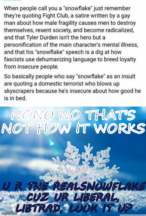 The term "Snowflake" explained and then carefully rebutted by a snowflake. | image tagged in snowflake definition with snowflake,snowflake,special snowflake,politics lol,insults,fight club | made w/ Imgflip meme maker