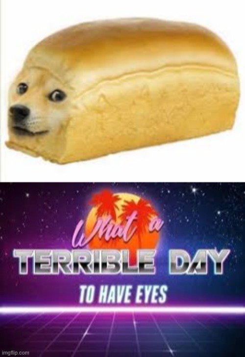 image tagged in doge bread,what a terrible day to have eyes | made w/ Imgflip meme maker
