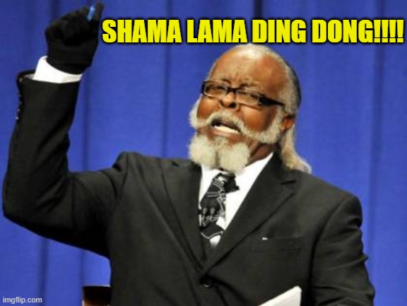 Shama Lama Ding Dong!!!! | SHAMA LAMA DING DONG!!!! | image tagged in memes,too damn high,shama lama ding dong,well damn,peanut brittle | made w/ Imgflip meme maker