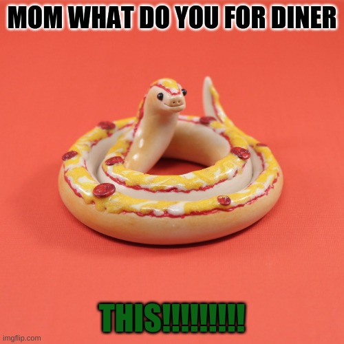 MOM WHAT DO YOU FOR DINER; THIS!!!!!!!!! | image tagged in snake puns | made w/ Imgflip meme maker
