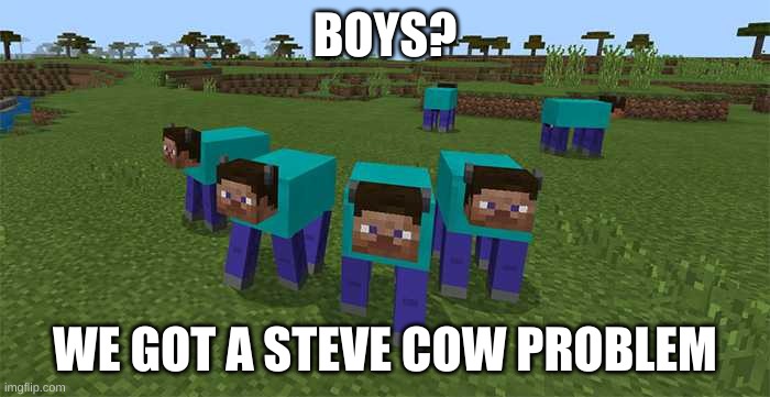 me and the boys | BOYS? WE GOT A STEVE COW PROBLEM | image tagged in me and the boys | made w/ Imgflip meme maker