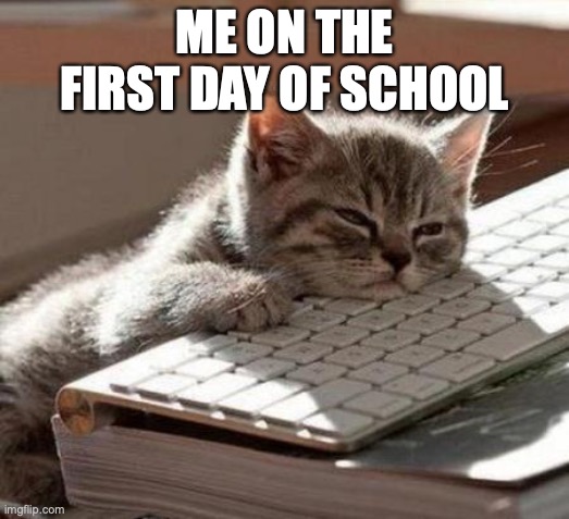 tired cat | ME ON THE FIRST DAY OF SCHOOL | image tagged in tired cat | made w/ Imgflip meme maker