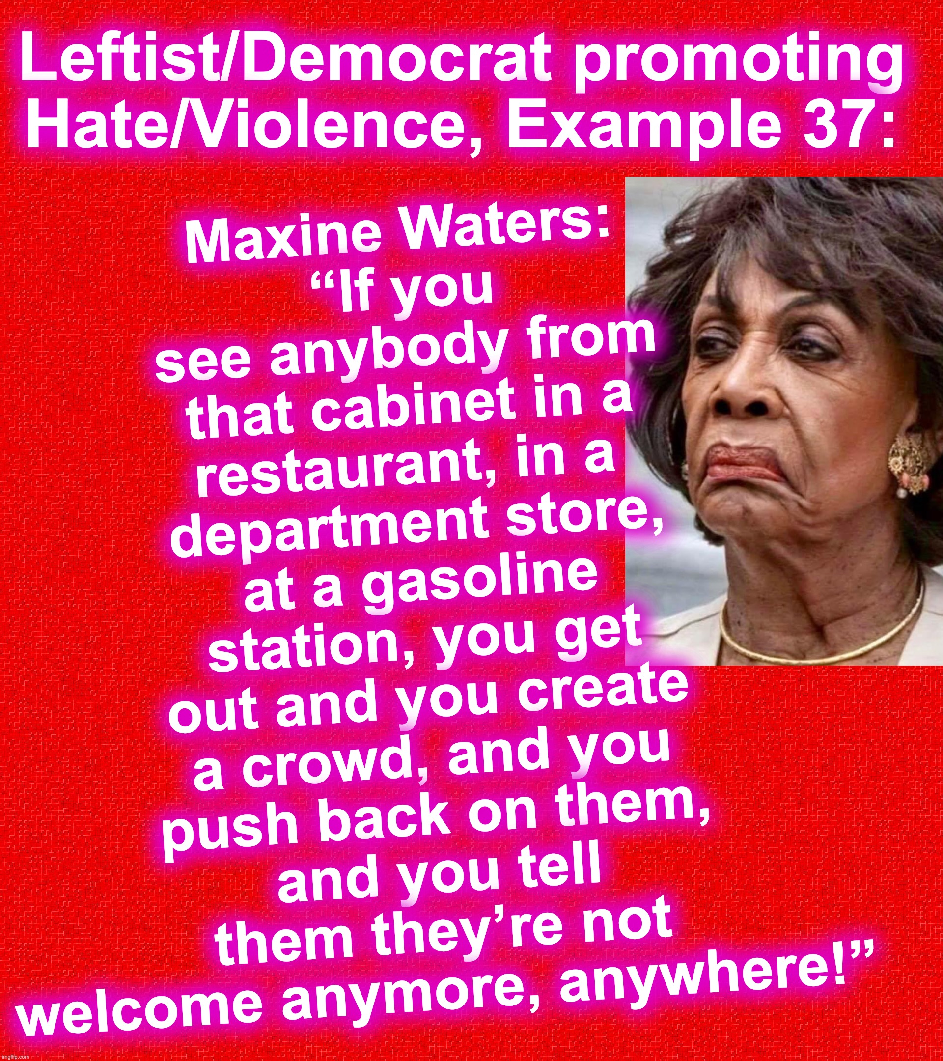 I mean, since they want to point out who's promoting violence | Maxine Waters:
“If you see anybody from that cabinet in a restaurant, in a 
department store, at a gasoline station, you get out and you create a crowd, and you push back on them, and you tell them they’re not welcome anymore, anywhere!”; Leftist/Democrat promoting Hate/Violence, Example 37: | image tagged in democrats,leftists,haters,violence | made w/ Imgflip meme maker