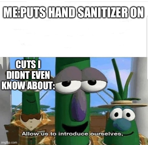 Allow us to introduce ourselves | ME:PUTS HAND SANITIZER ON; CUTS I DIDNT EVEN KNOW ABOUT: | image tagged in allow us to introduce ourselves | made w/ Imgflip meme maker