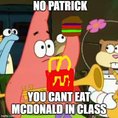 No Patrick Meme | NO PATRICK; YOU CANT EAT MCDONALD IN CLASS | image tagged in memes,no patrick | made w/ Imgflip meme maker