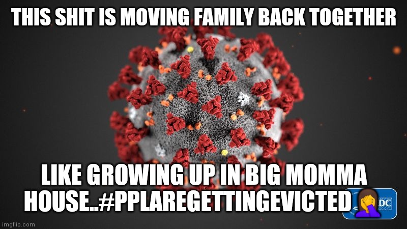 Jroc113 | THIS SHIT IS MOVING FAMILY BACK TOGETHER; LIKE GROWING UP IN BIG MOMMA HOUSE..#PPLAREGETTINGEVICTED🤦 | image tagged in covid 19 | made w/ Imgflip meme maker