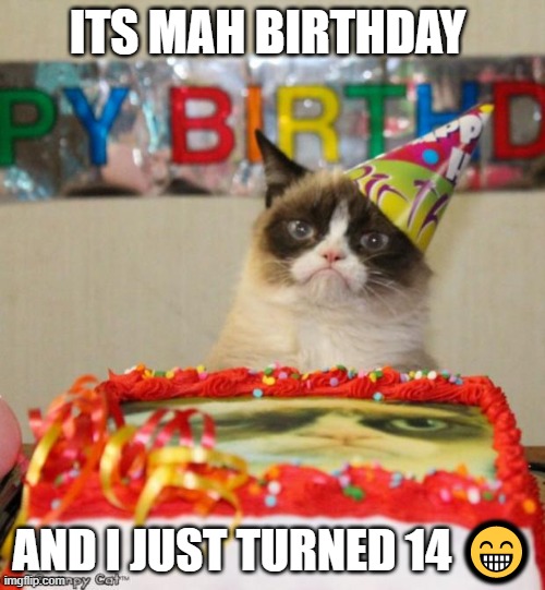 Grumpy Cat Birthday Meme | ITS MAH BIRTHDAY; AND I JUST TURNED 14 😁 | image tagged in memes,grumpy cat birthday,grumpy cat | made w/ Imgflip meme maker