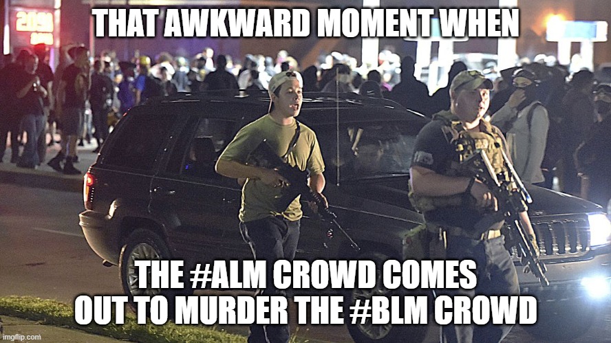 So...all lives matter, just not ALL lives. Just some of all lives. | THAT AWKWARD MOMENT WHEN; THE #ALM CROWD COMES OUT TO MURDER THE #BLM CROWD | made w/ Imgflip meme maker