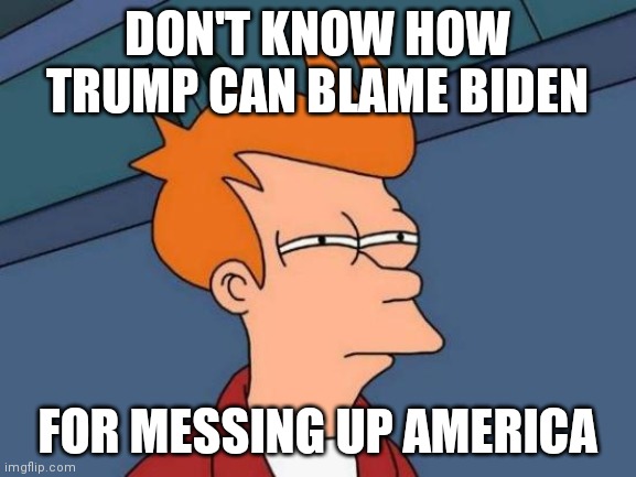 I would call Trump stupid, but that's generous. | DON'T KNOW HOW TRUMP CAN BLAME BIDEN; FOR MESSING UP AMERICA | image tagged in memes,futurama fry | made w/ Imgflip meme maker